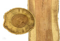 Skyline® Honeylocust #10 1¼"